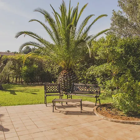 Somni - Deniasol * 데니아