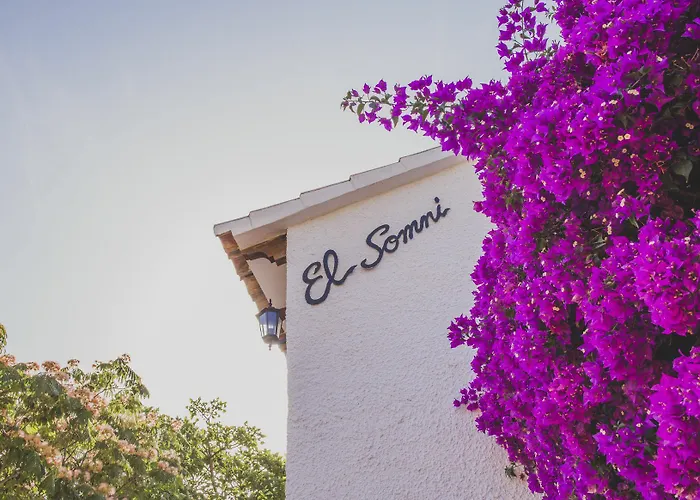 Somni - Deniasol Denia